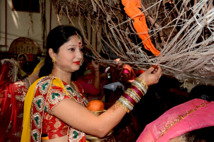 वट सावित्री पूजा